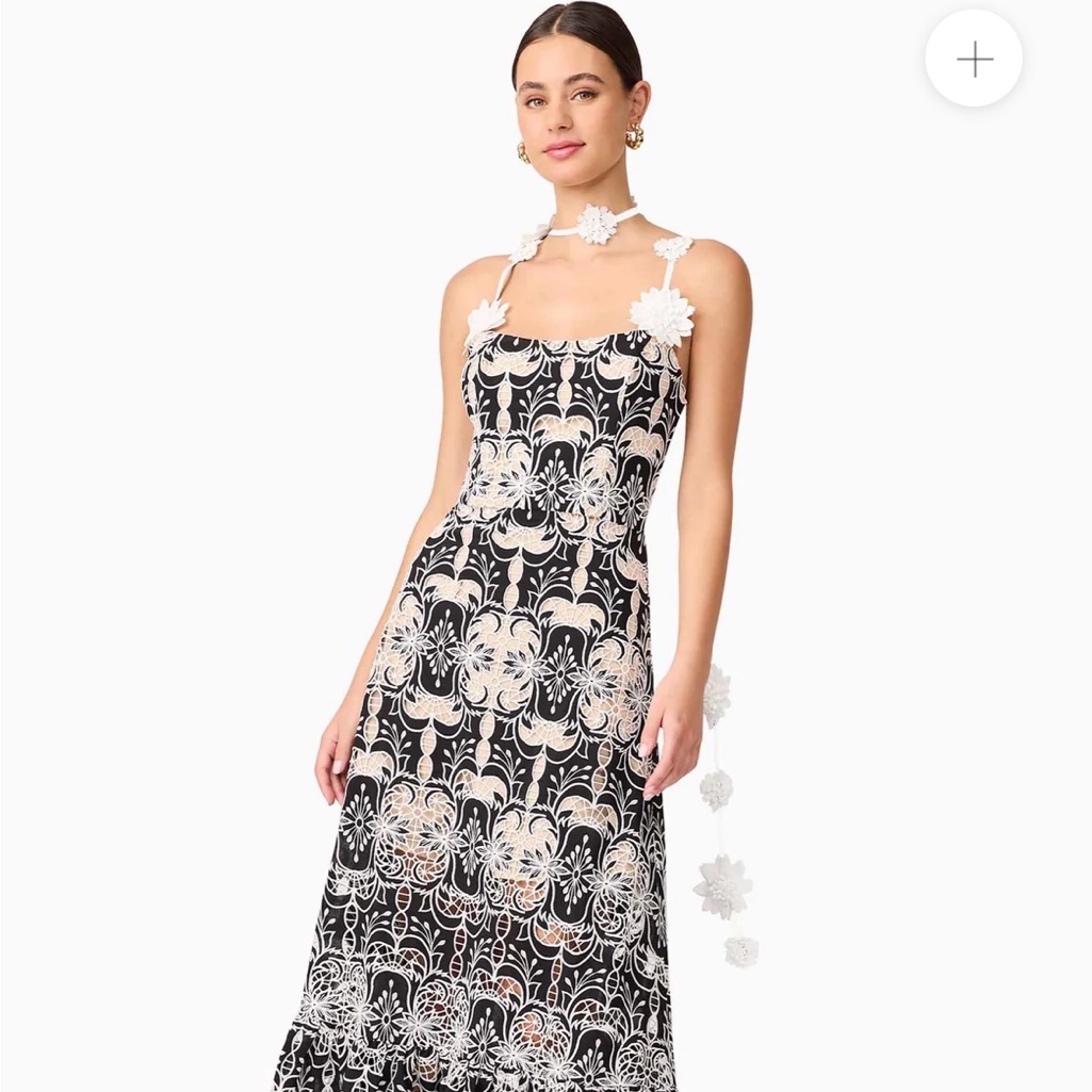 Nwt Elliatt Jolie Black Midi Dress With Cream Floral Lace Overlay